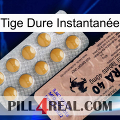 Tige Dure Instantanée 41